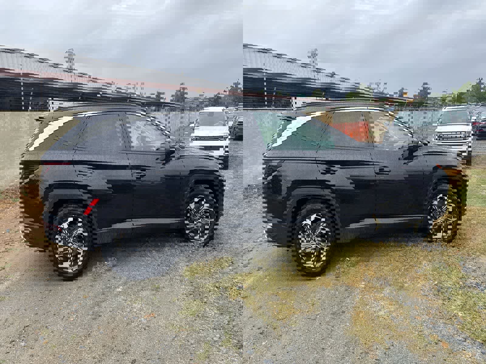 Used 2024 Hyundai Tucson Limited image 4