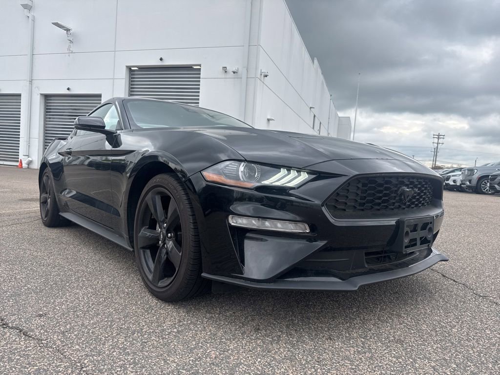 Used 2023 Ford Mustang Premium w/ Equipment Group 201A RWD image 1