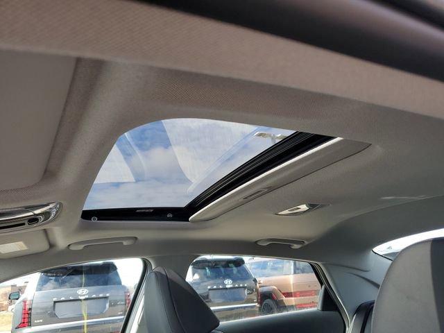 New 2026 Hyundai Elantra Limited image 18