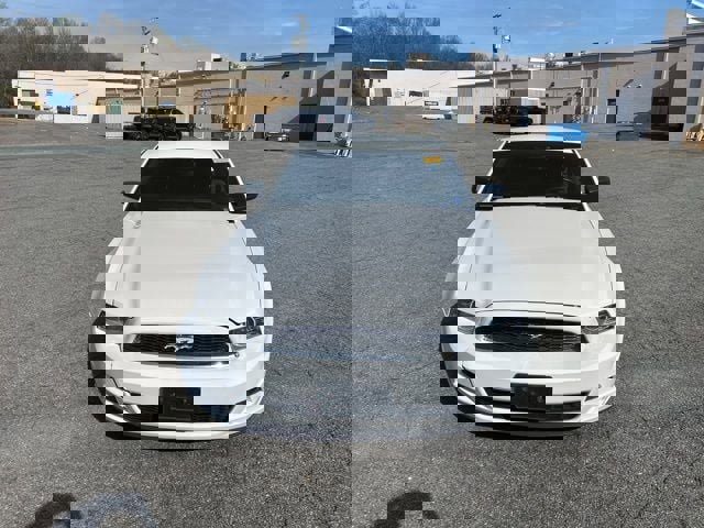 Used 2014 Ford Mustang Coupe w/ Equipment Group 102A image 8