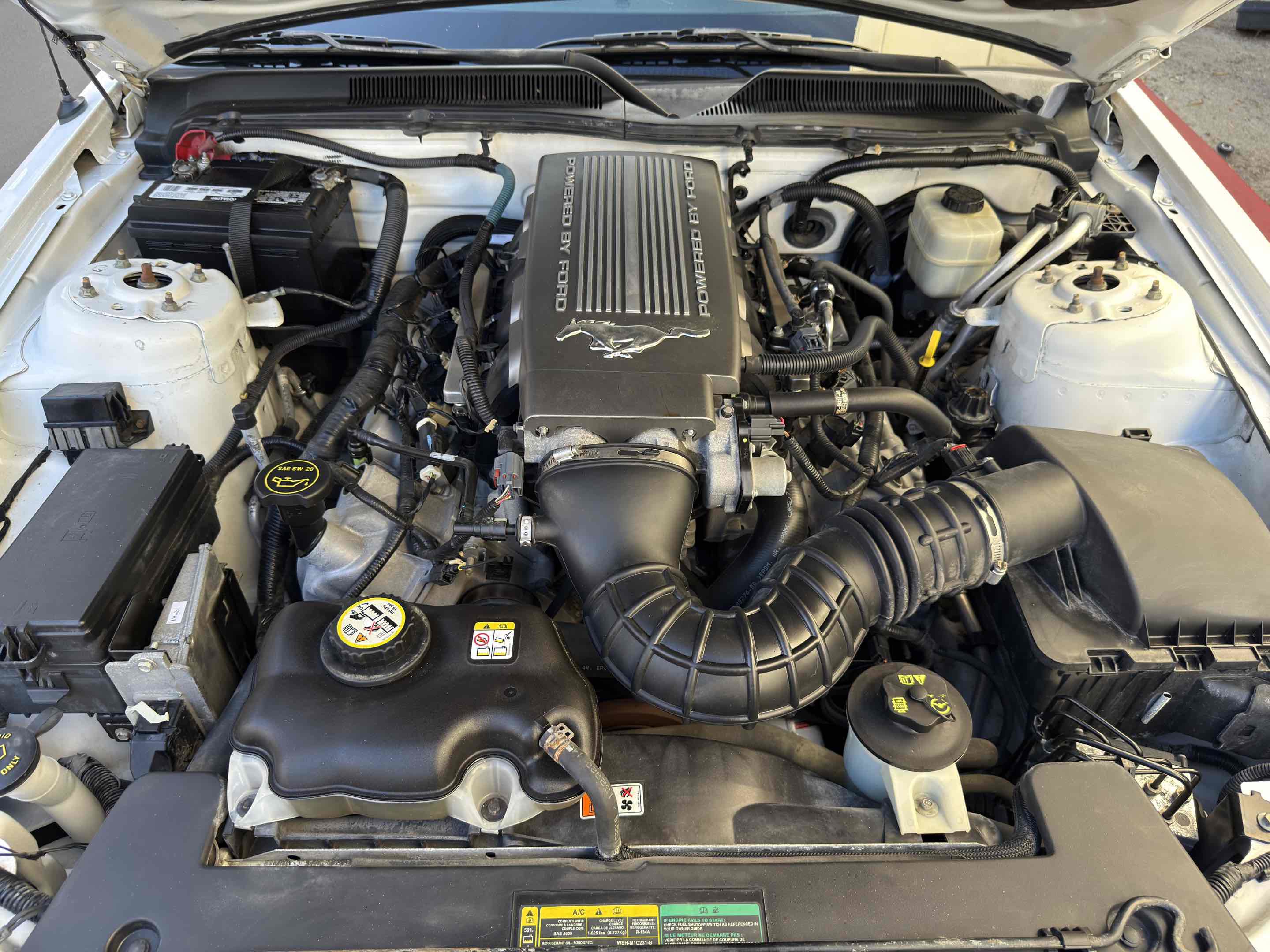 Used 2008 Ford Mustang GT Premium RWD image 49