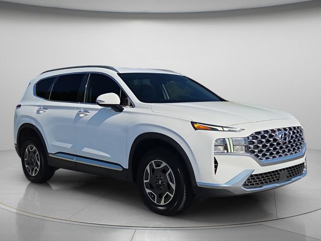 Used 2023 Hyundai Santa Fe Blue AWD/4WD image 8