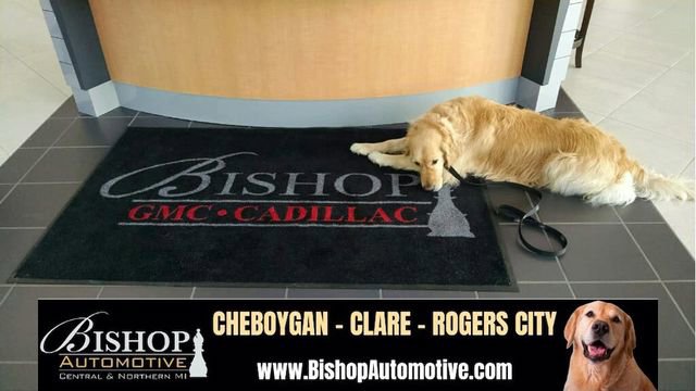 Used 2015 Cadillac SRX Luxury w/ Driver Awareness Package FWD image 15