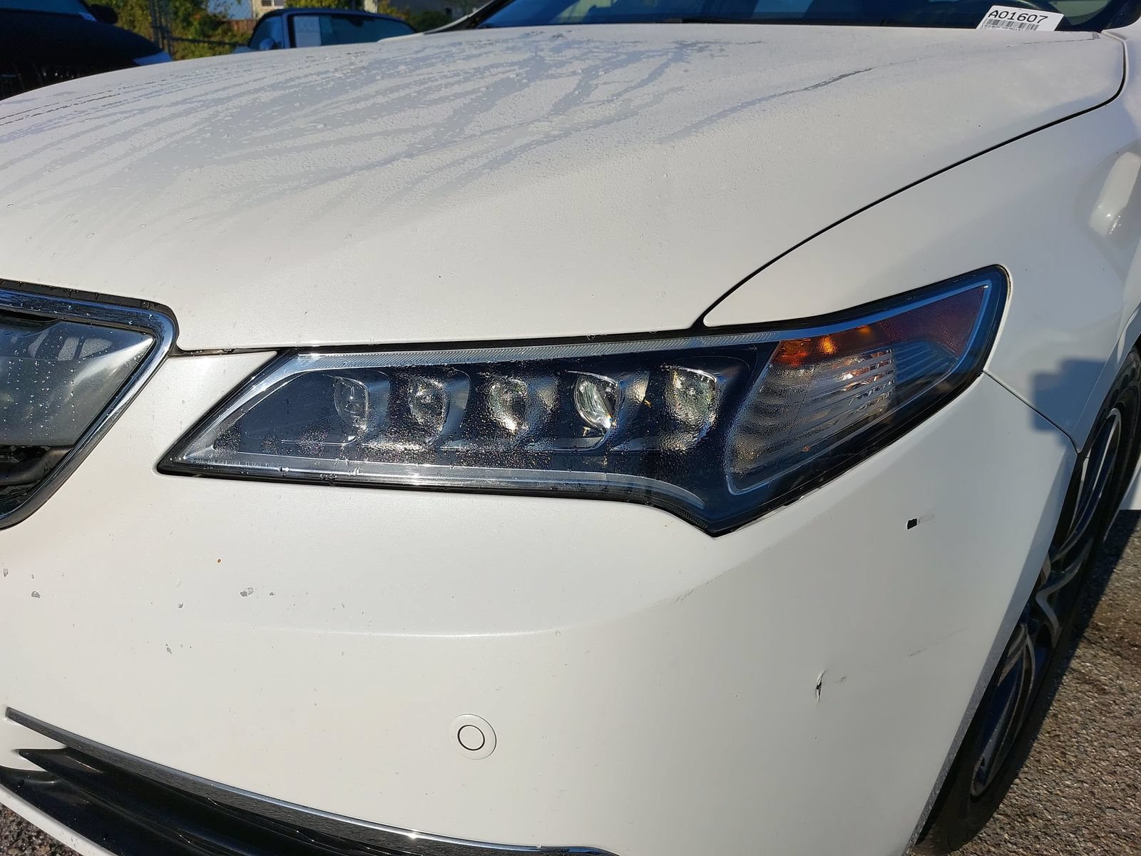 Used 2015 Acura TLX w/ Advance Package FWD image 12