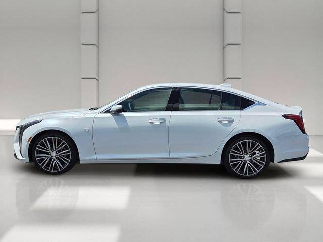 Certified 2026 Cadillac CT5 Premium Luxury AWD/4WD image 2