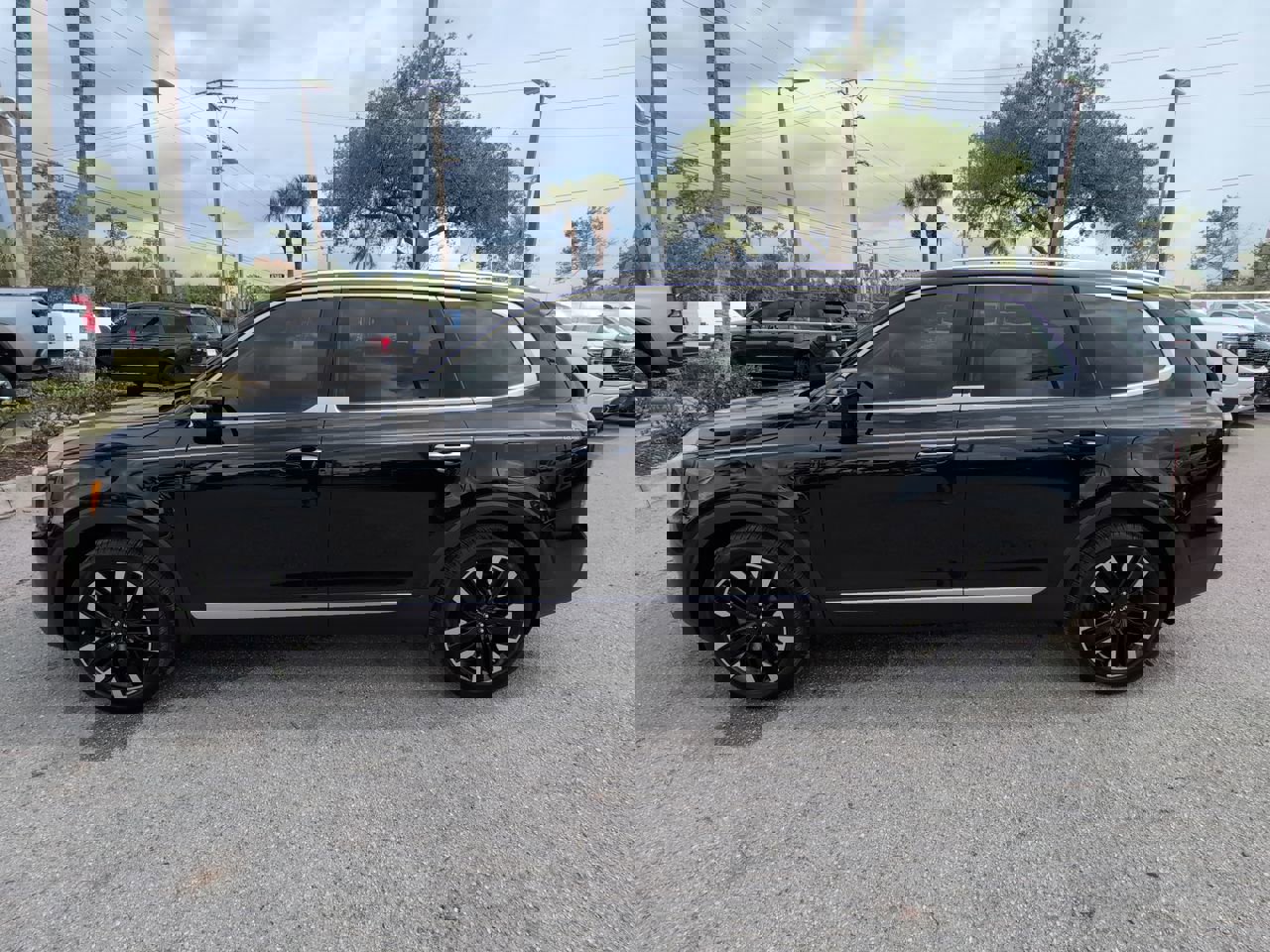 Used 2025 Kia Telluride SX image 8