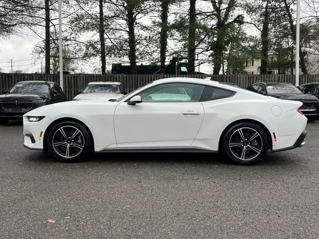 Used 2024 Ford Mustang Premium image 4