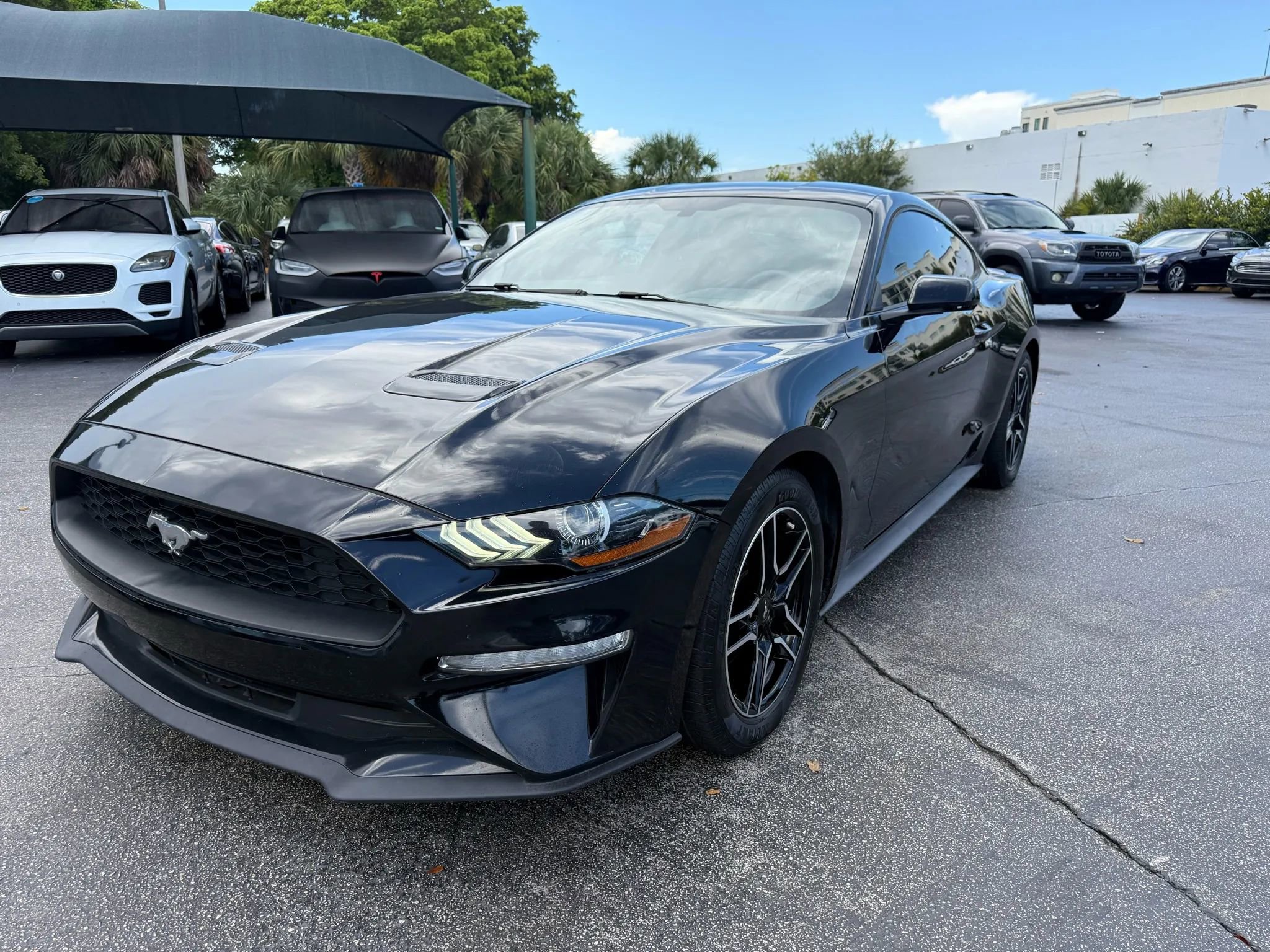 Used 2020 Ford Mustang Coupe w/ Equipment Group 101A image 2