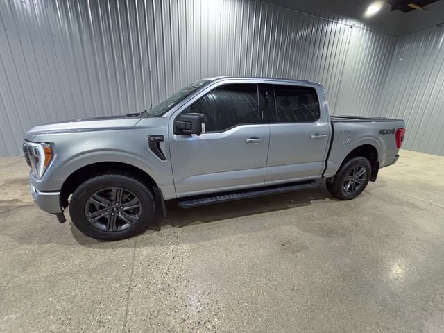 Used 2023 Ford F150 XLT w/ Equipment Group 302A High image 2