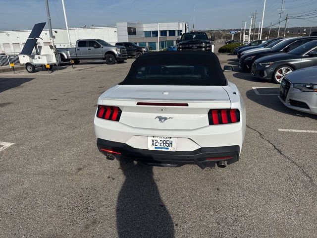 Used 2024 Ford Mustang Premium RWD image 5