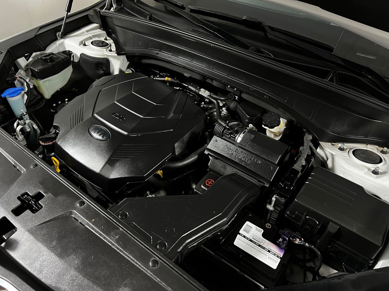 Used 2020 Kia Telluride SX w/ SX Prestige Package image 11