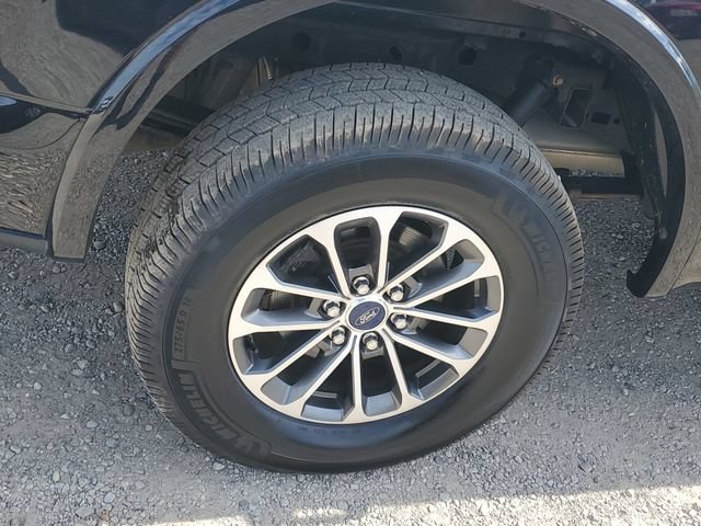 Used 2019 Ford F150 XLT w/ Equipment Group 302A Luxury AWD/4WD image 5
