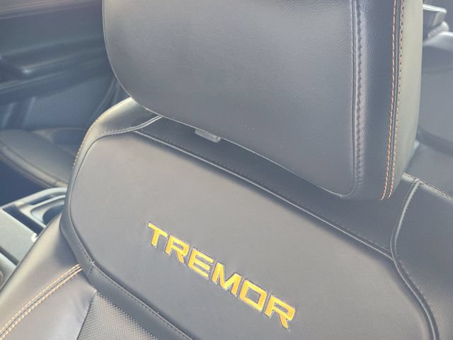Used 2025 Ford Expedition Tremor AWD/4WD image 21