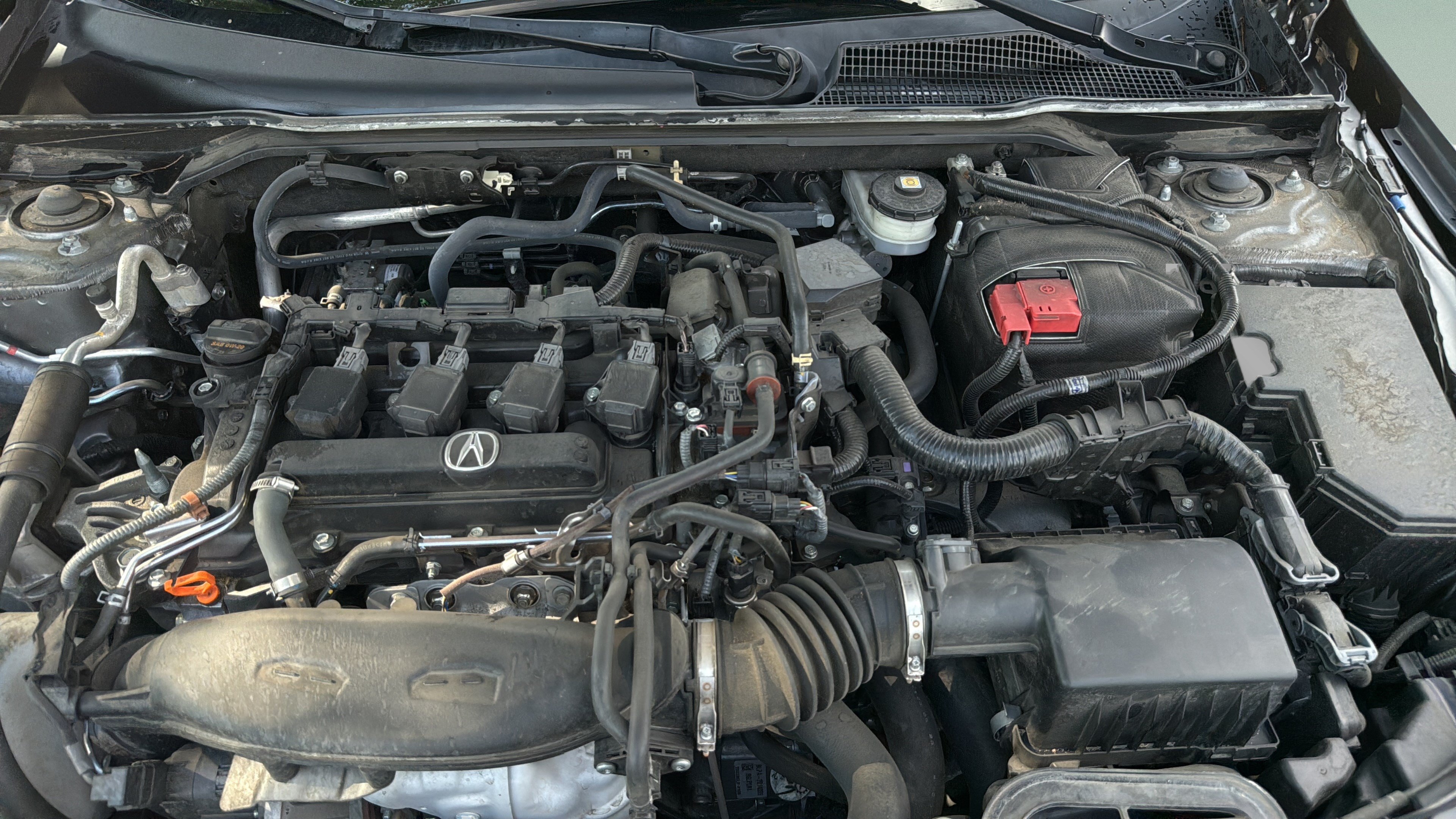 Used 2024 Acura Integra FWD image 28