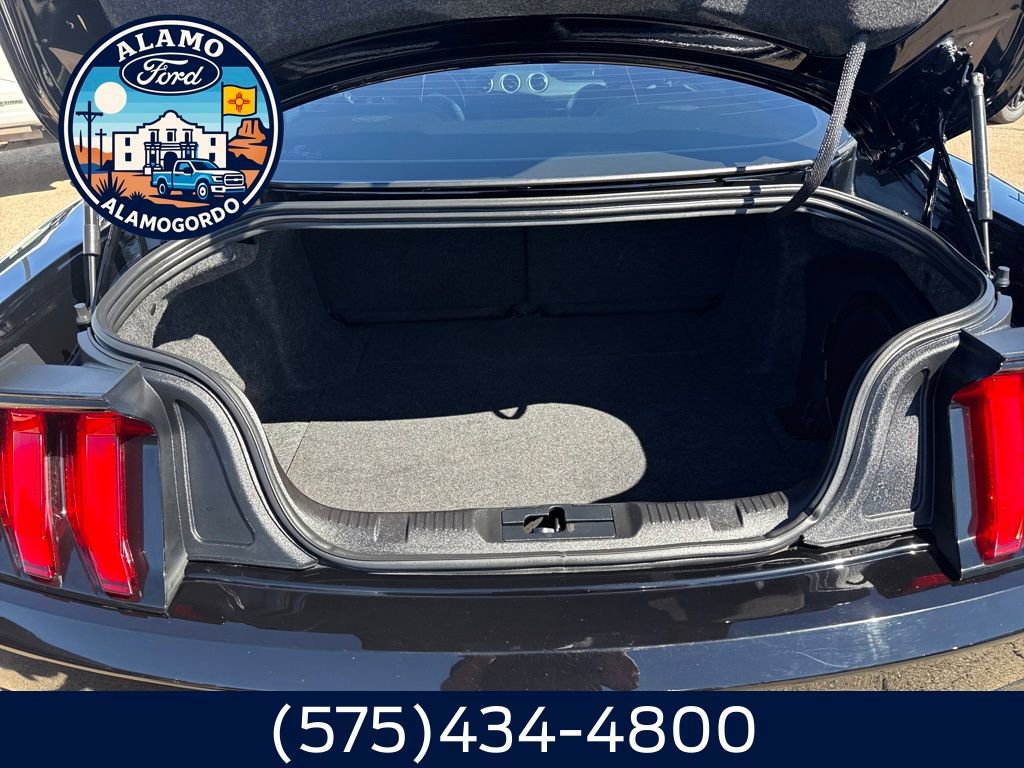 Used 2021 Ford Mustang Premium w/ Equipment Group 201A image 11