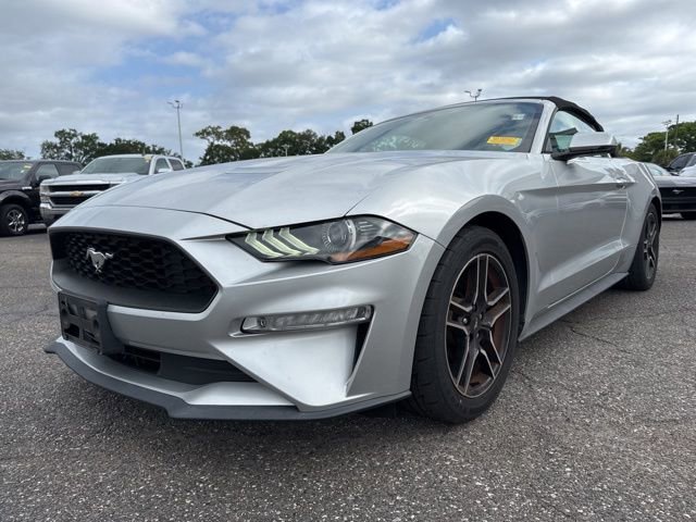 Certified 2019 Ford Mustang Premium RWD image 2
