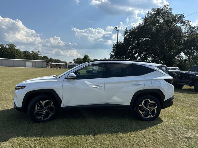 Used 2024 Hyundai Tucson Limited image 14