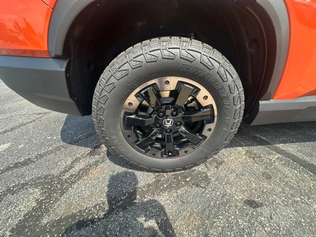 New 2026 Honda Passport TrailSport Elite image 5