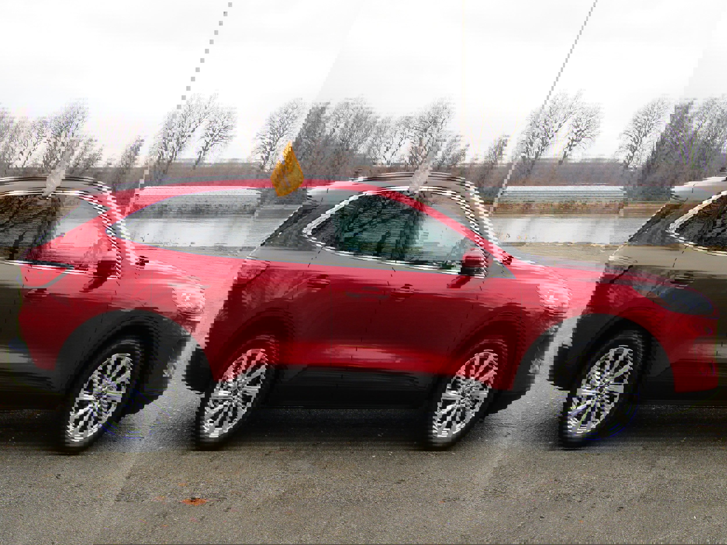 Certified 2021 Ford Escape Titanium w/ Titanium Elite Package image 5
