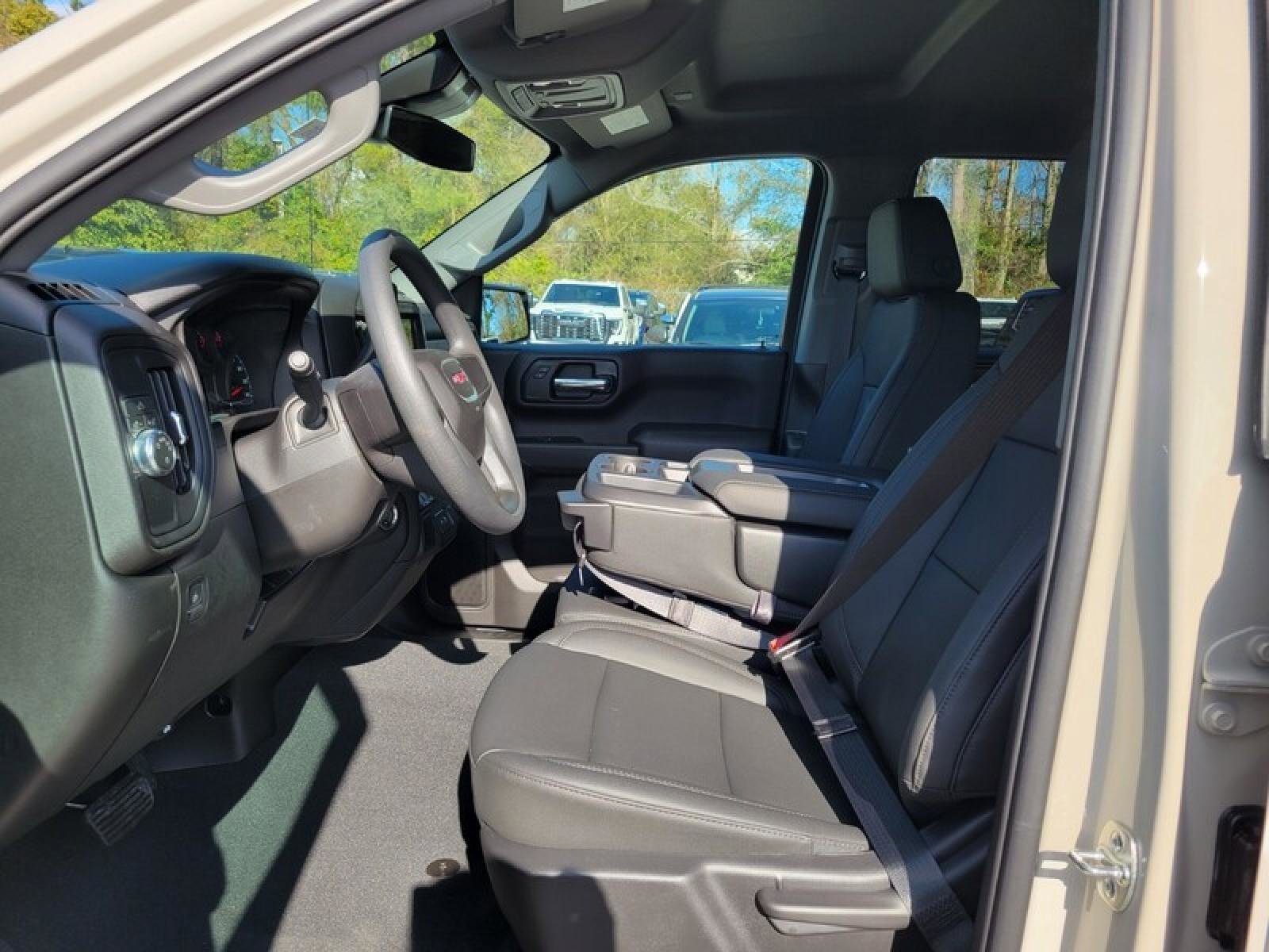 New 2026 GMC Sierra 1500 Pro w/ Graphite Edition image 19