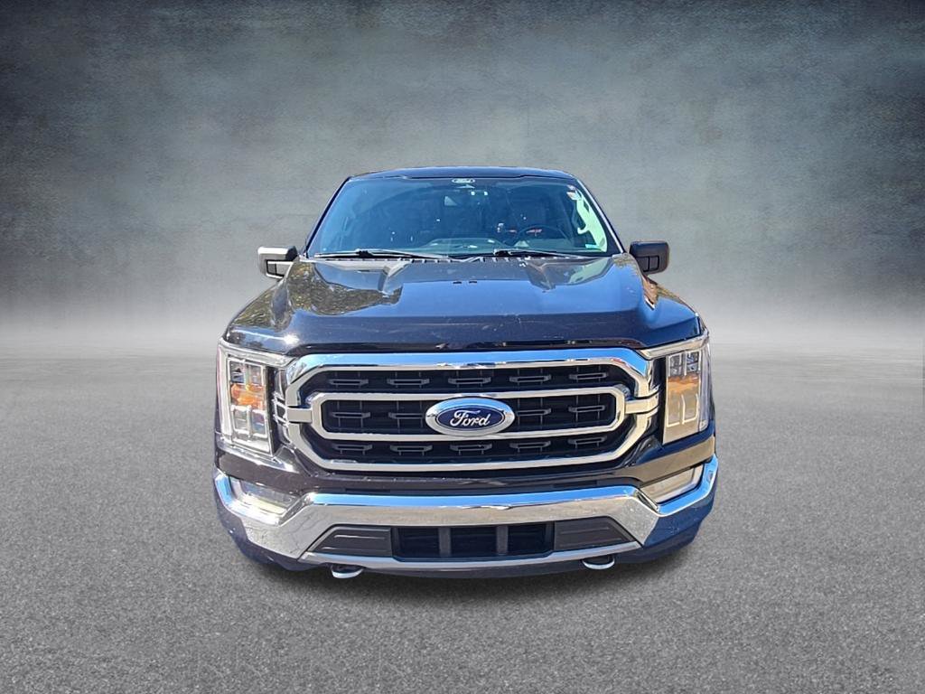 Used 2021 Ford F150 XLT w/ Equipment Group 302A High AWD/4WD image 3