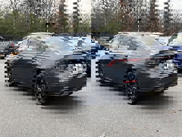 Used 2025 Honda Accord SE image 5