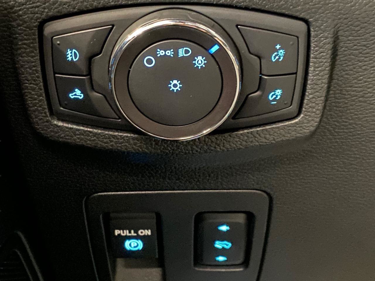 Used 2019 Ford F150 XLT w/ Equipment Group 302A Luxury AWD/4WD image 21