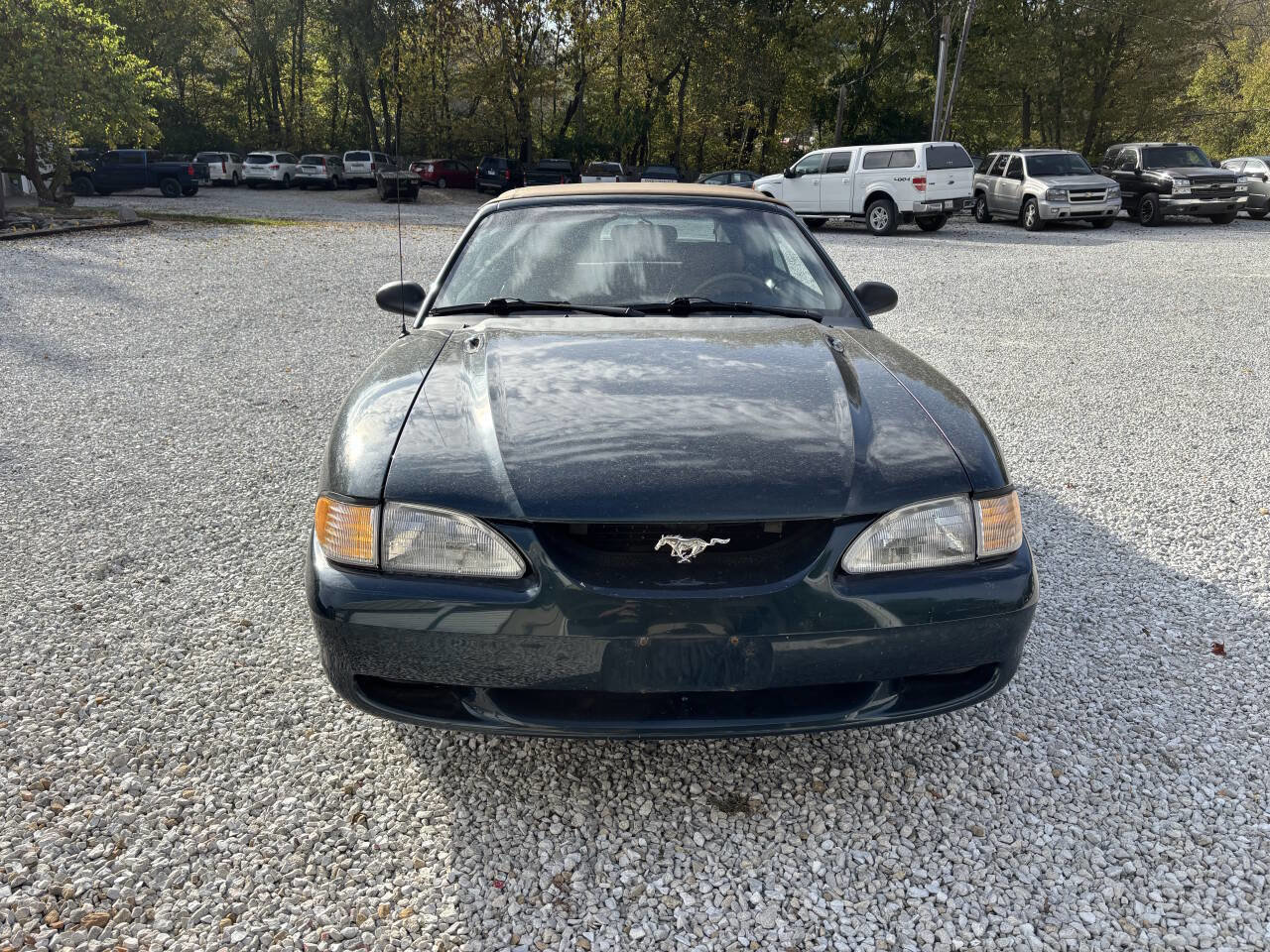 Used 1995 Ford Mustang GT RWD image 4