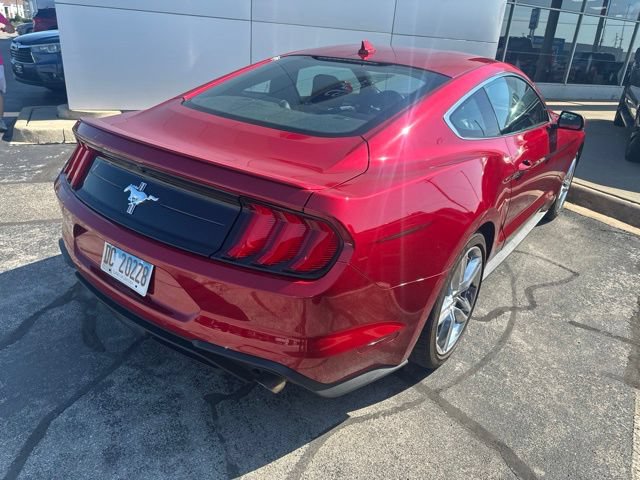 Used 2021 Ford Mustang Premium w/ Equipment Group 201A RWD image 4