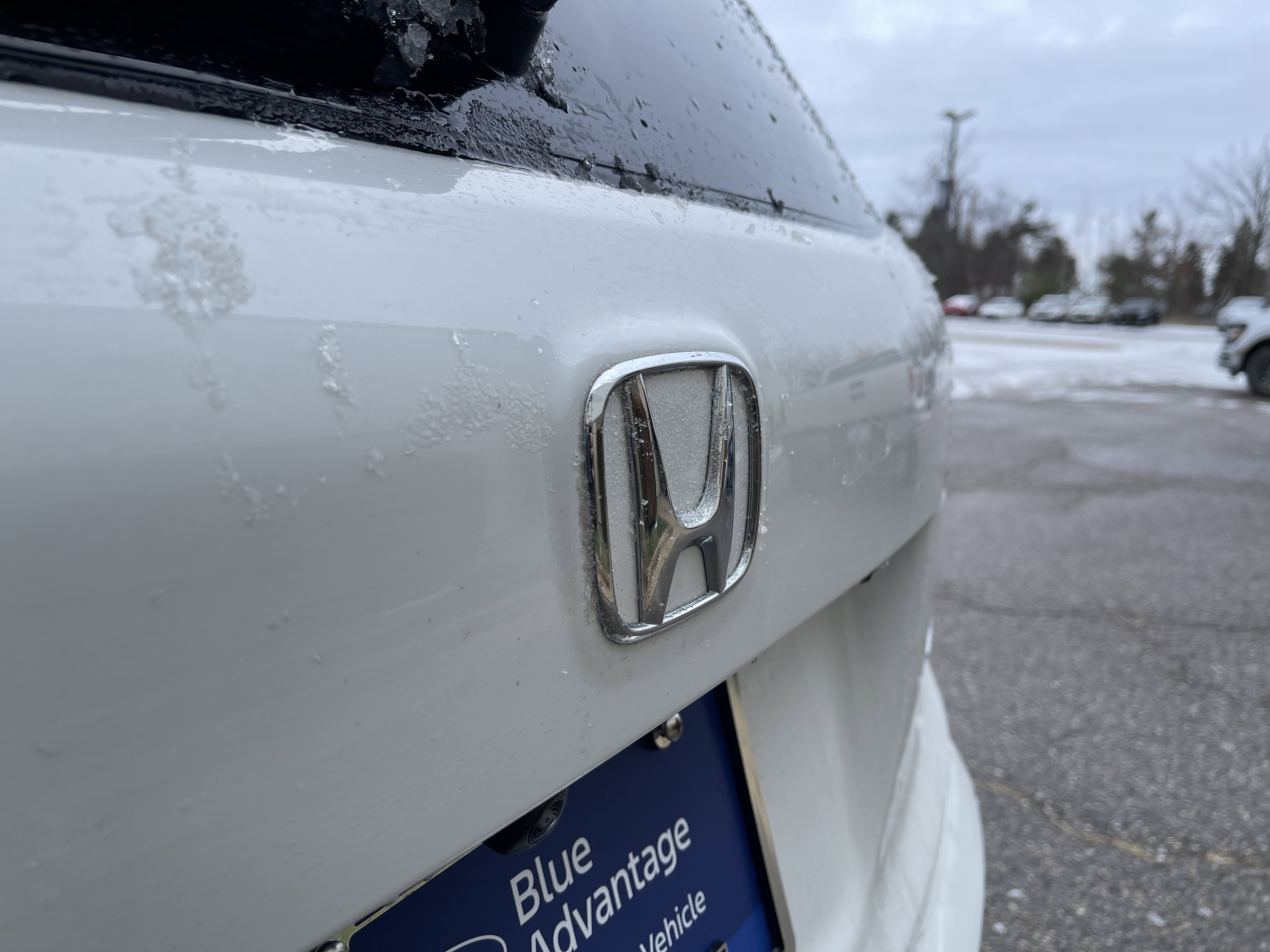 Used 2022 Honda Pilot Black Edition image 47