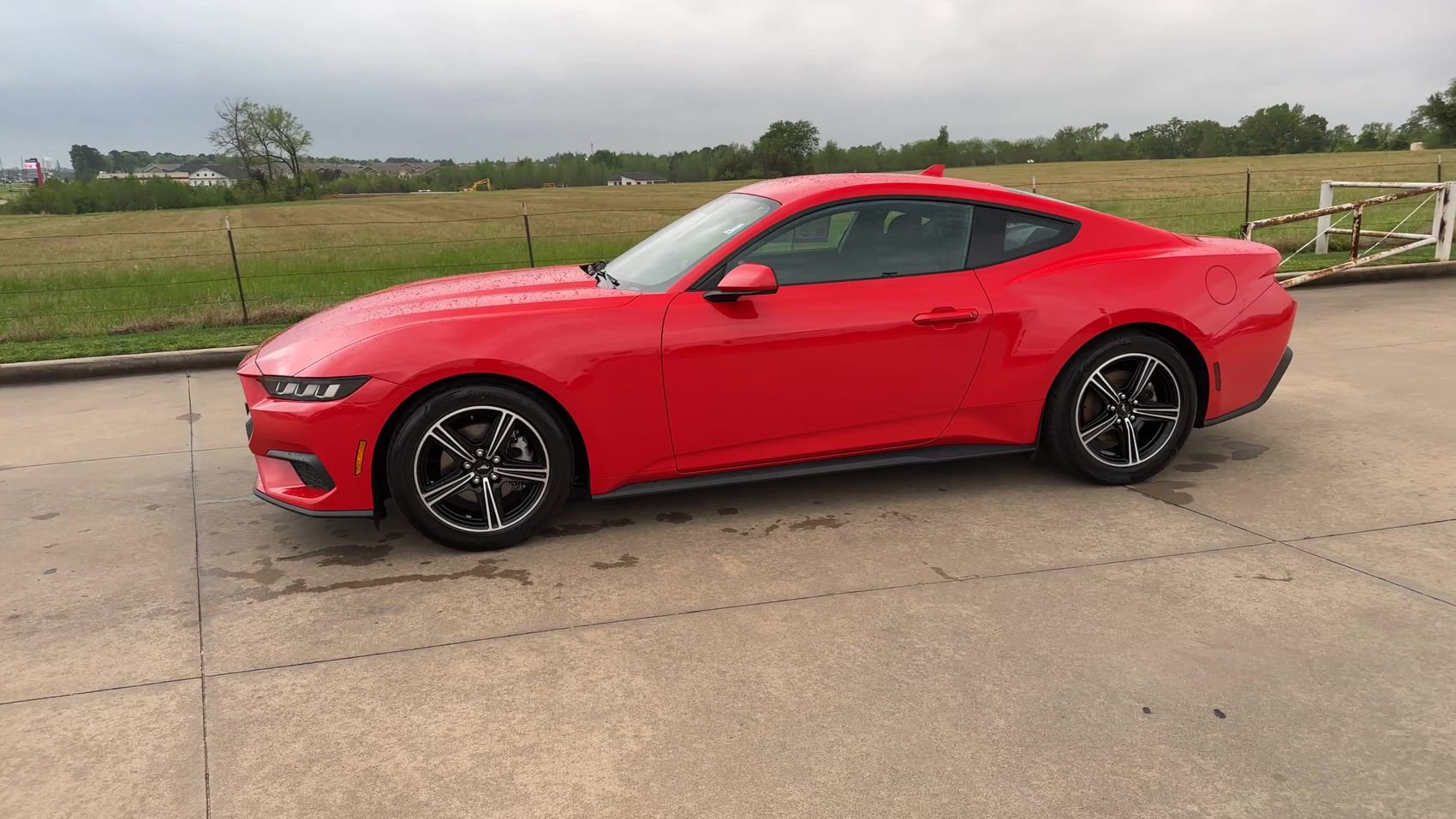 Used 2024 Ford Mustang Coupe image 5