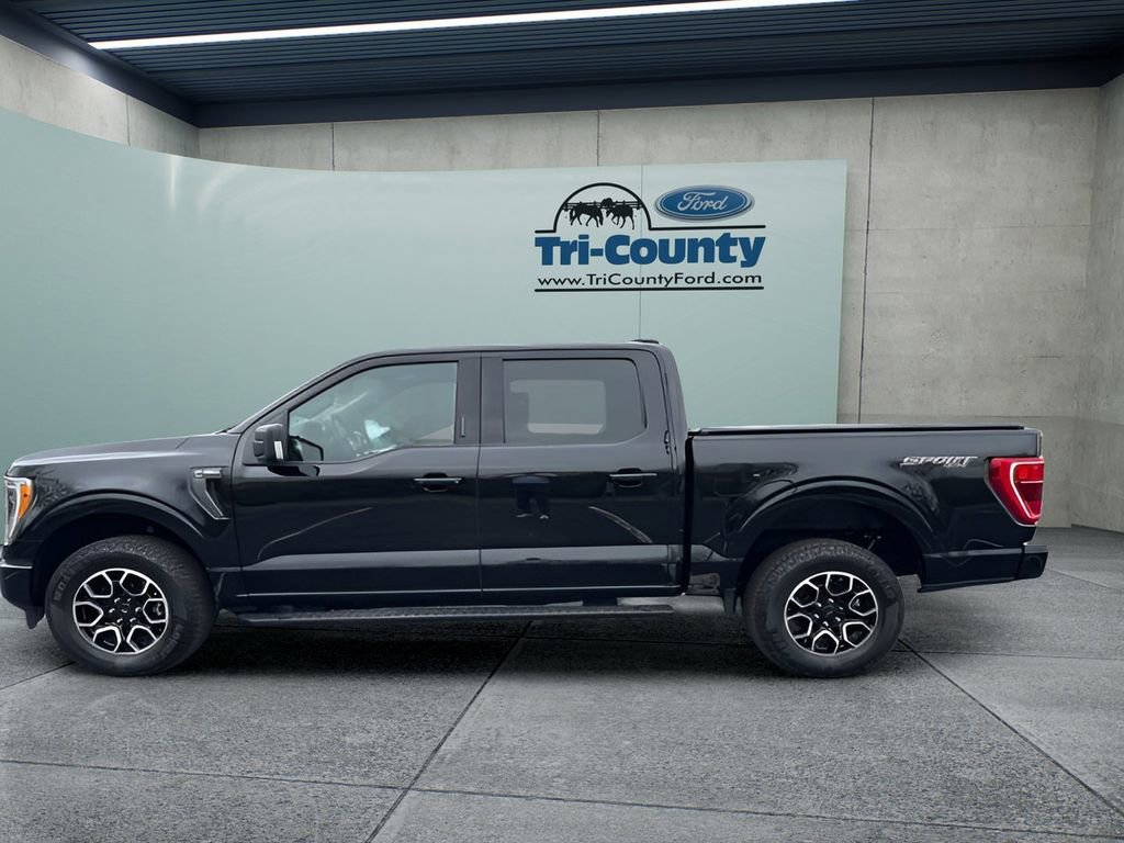 Used 2023 Ford F150 XLT w/ Equipment Group 302A High image 4