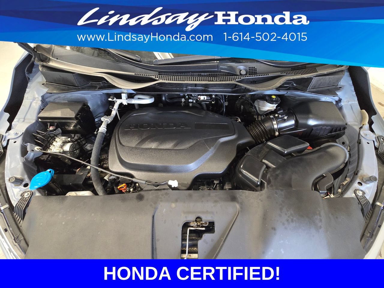Certified 2024 Honda Odyssey Elite image 25