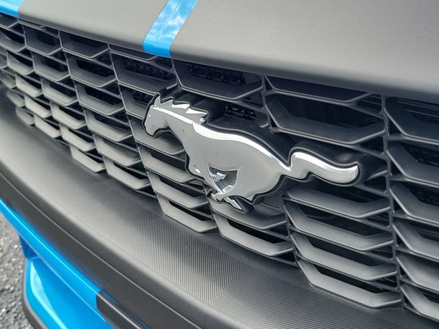 Used 2025 Ford Mustang Premium RWD image 6