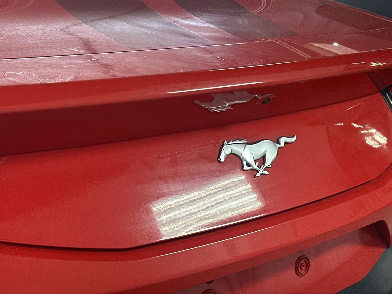 Used 2024 Ford Mustang Coupe RWD image 10