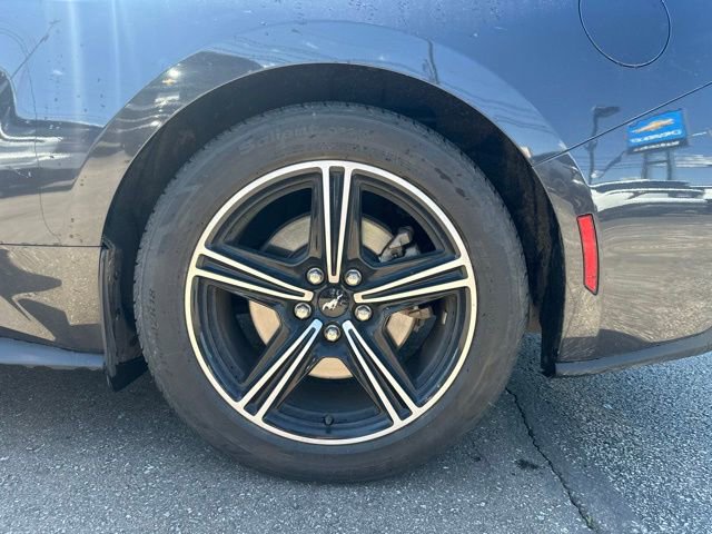 Used 2024 Ford Mustang Premium image 7