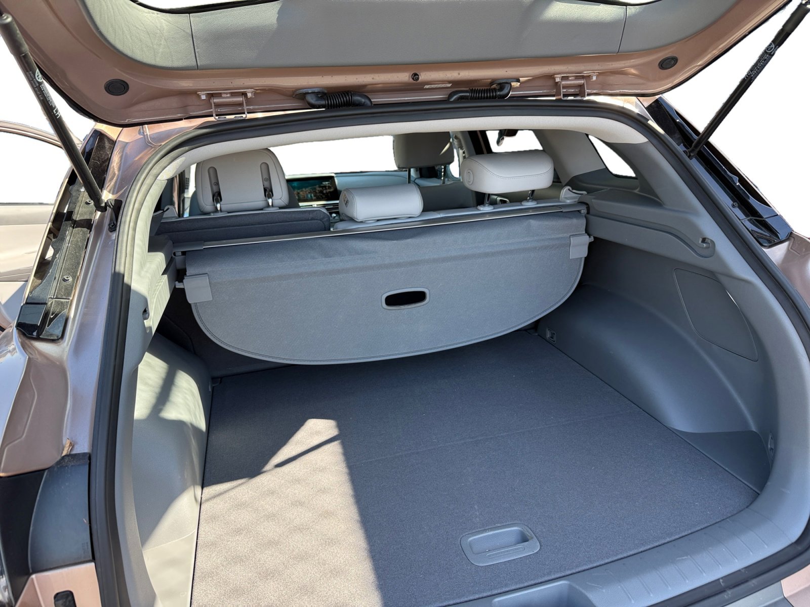 Used 2022 Hyundai Nexo Blue image 12