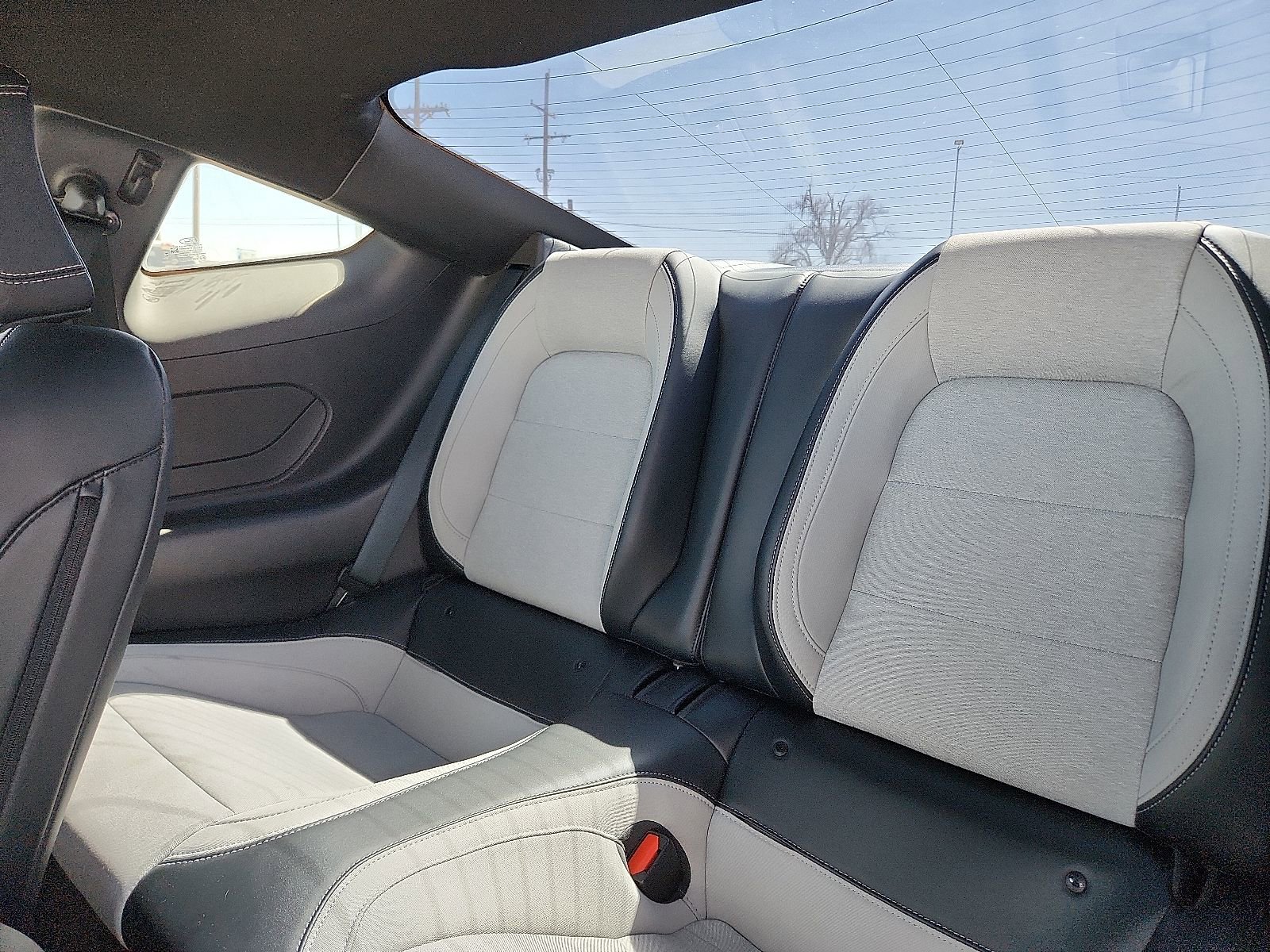 Used 2024 Ford Mustang EcoBoost image 8