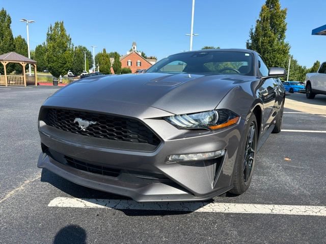Used 2022 Ford Mustang Coupe w/ Equipment Group 101A RWD image 2