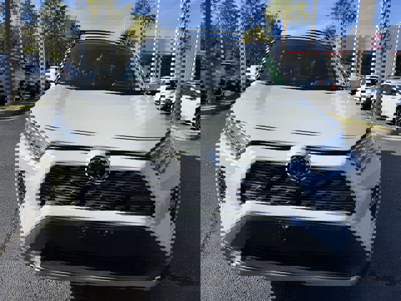 Used 2019 Toyota RAV4 Limited image 3