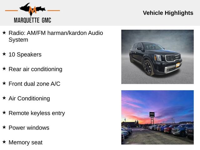 Used 2023 Kia Telluride SX image 6