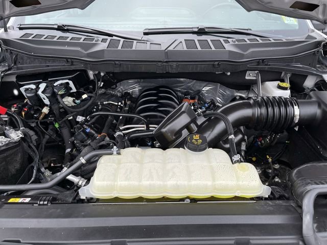 Used 2025 Ford F150 XLT w/ Equipment Group 301A Standard image 12