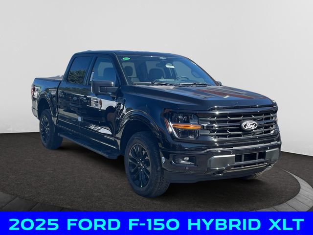 New 2025 Ford F150 XLT w/ Equipment Group 303A High image 7