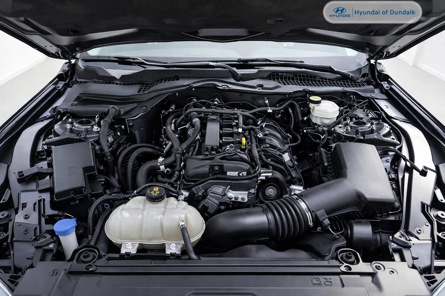 Used 2022 Ford Mustang Premium RWD image 15