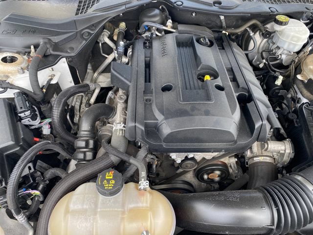 Used 2019 Ford Mustang Coupe w/ Equipment Group 101A RWD image 14