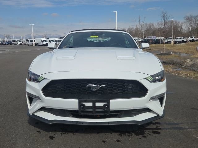 Used 2023 Ford Mustang Premium RWD image 18