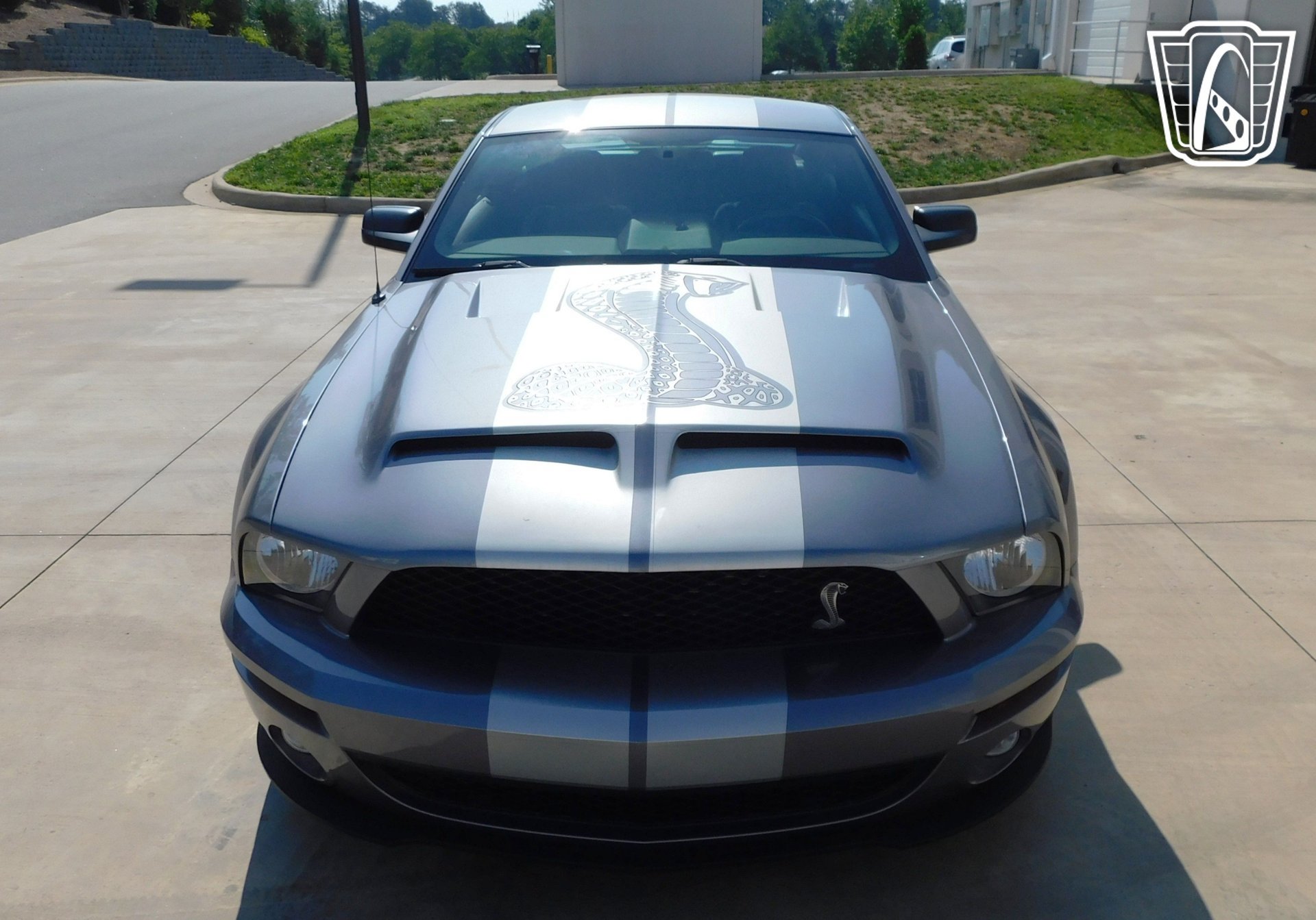Used 2007 Ford Mustang Shelby GT500 RWD image 4