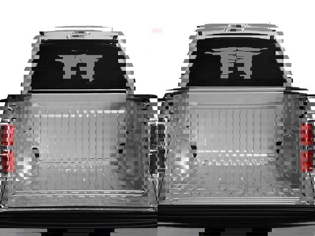 Used 2014 Ford F150 XLT w/ XLT Chrome Package image 11