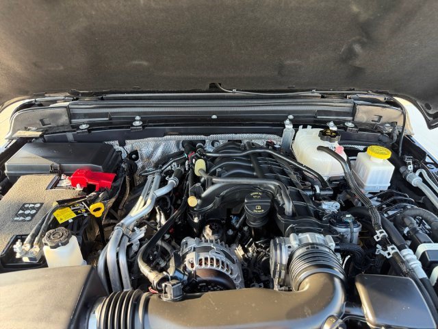 Used 2025 Jeep Gladiator Rubicon AWD/4WD image 19