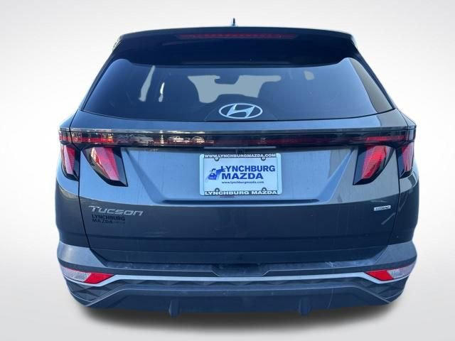 Used 2024 Hyundai Tucson SEL image 5